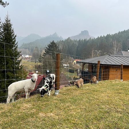 Natur Resort Jetrichovice Экстерьер фото