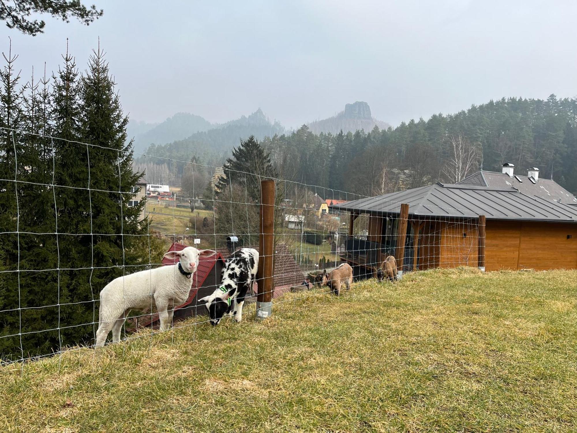 Natur Resort Jetrichovice Экстерьер фото